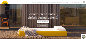 Eve Website